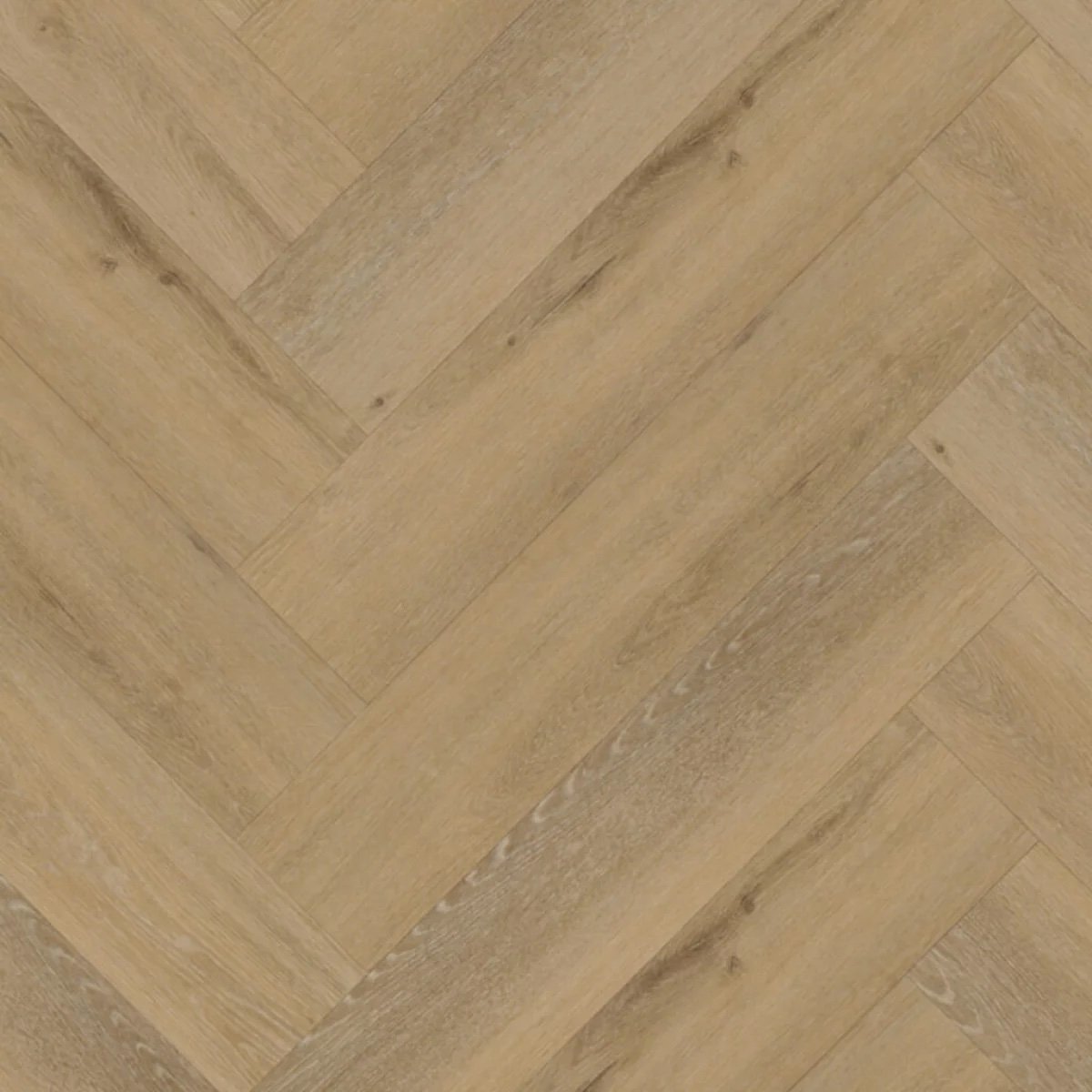 Belakos Attico visgraat XL 80