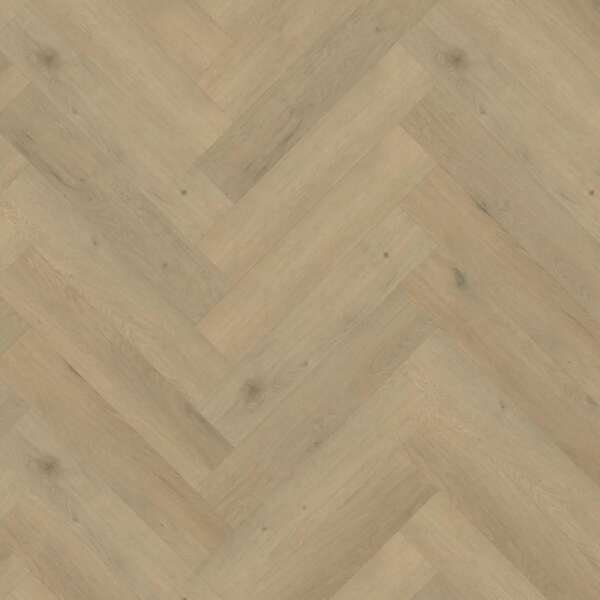 Belakos Attico visgraat XL 86