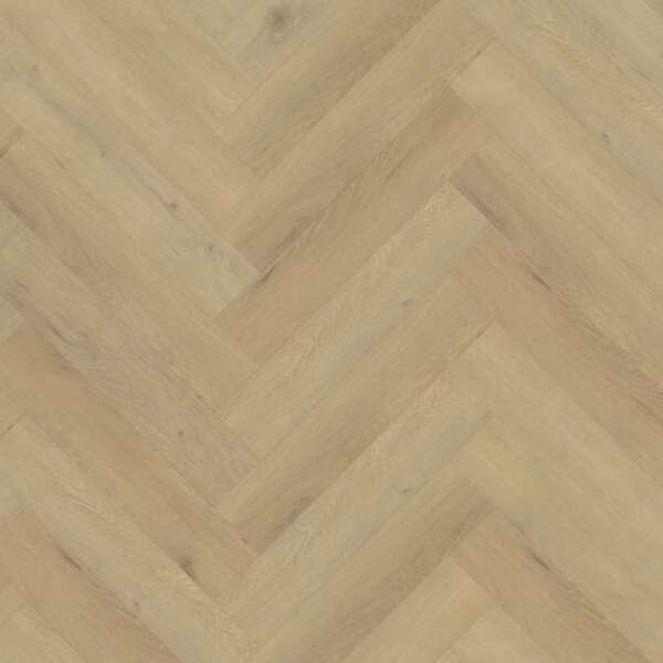 Belakos Attico visgraat XL 87