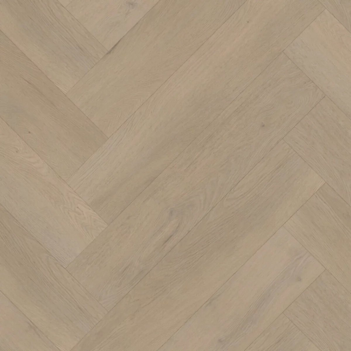 Belakos Attico visgraat XL 83