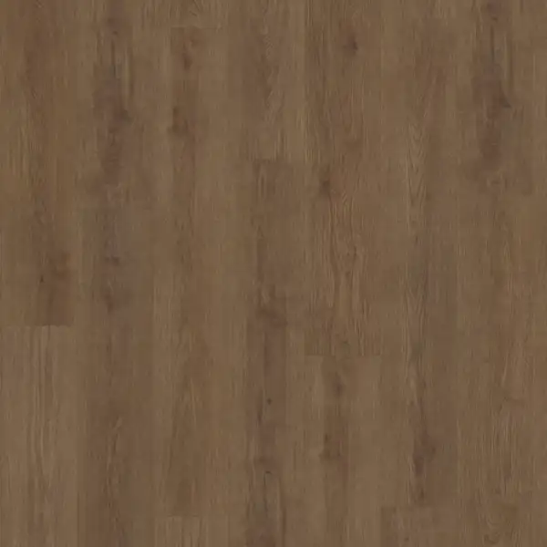 Belakos Monastro rechte strook 910