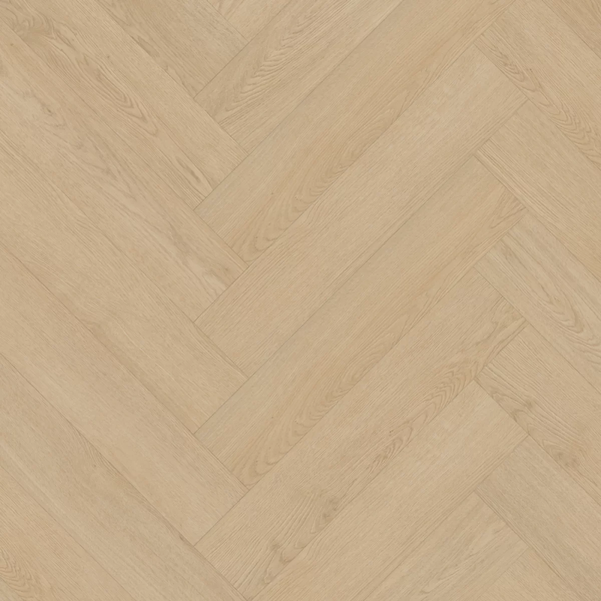 Belakos Monastro visgraat XL 92