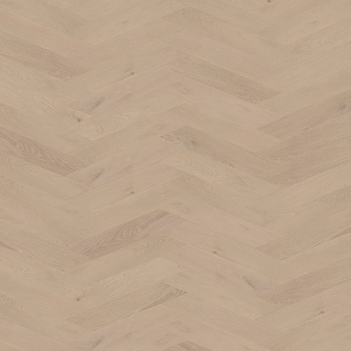 Belakos Palazzo hongaarse punt 74