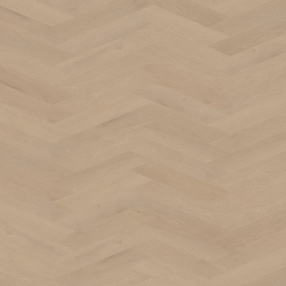 Belakos Palazzo hongaarse punt 77