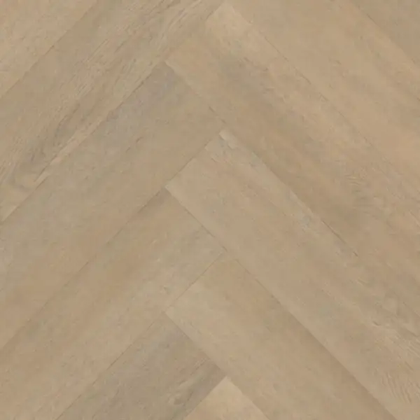 Belakos Palazzo visgraat XL 71