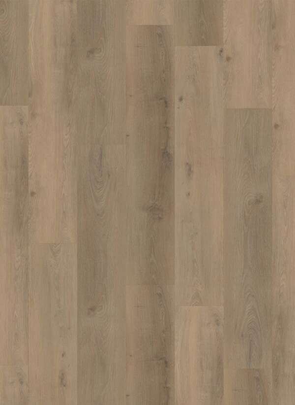 Country 4303 Prestige Oak Sand