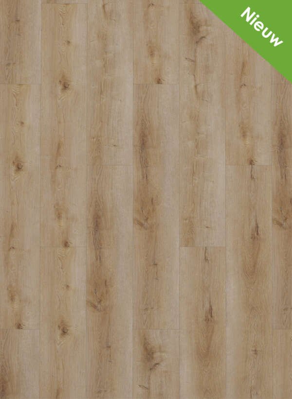 Dynamic 2501 Natural smoked