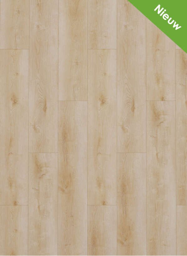 Dynamic 3500 Natural light