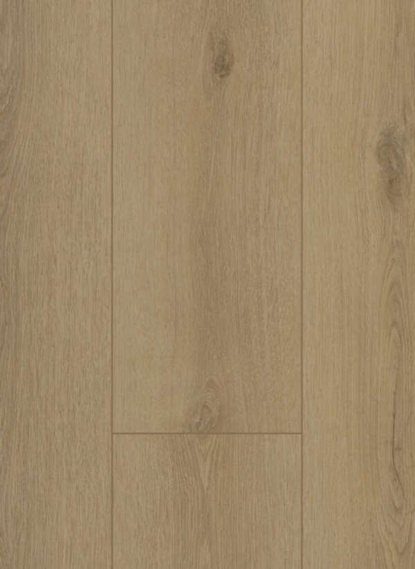 Firmfit 6501 Sierra Beige