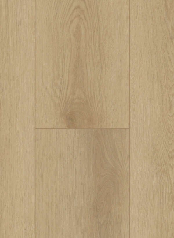 Firmfit Silent 7500 Sierra Light