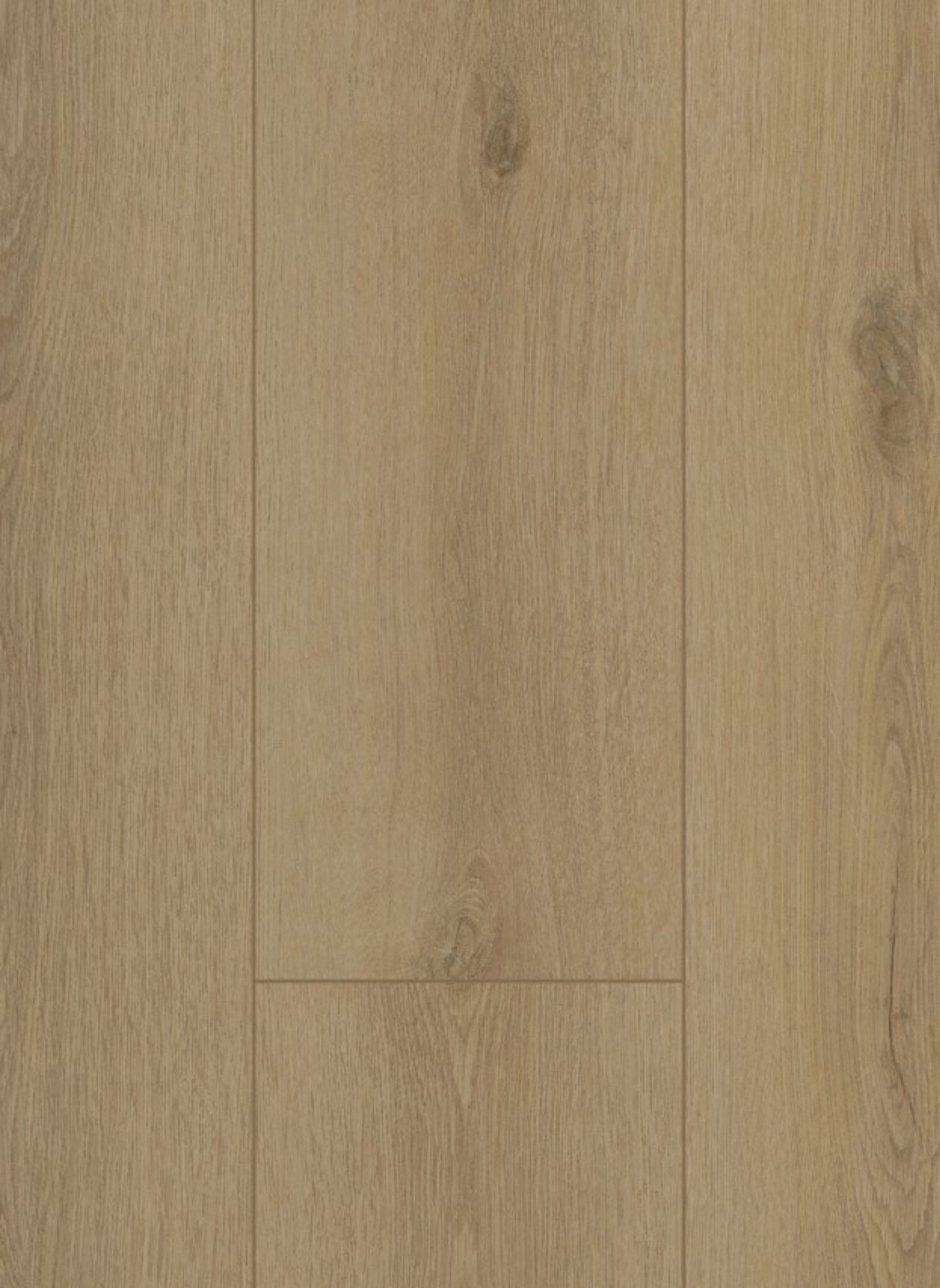 Firmfit Silent 7501 Sierra Beige