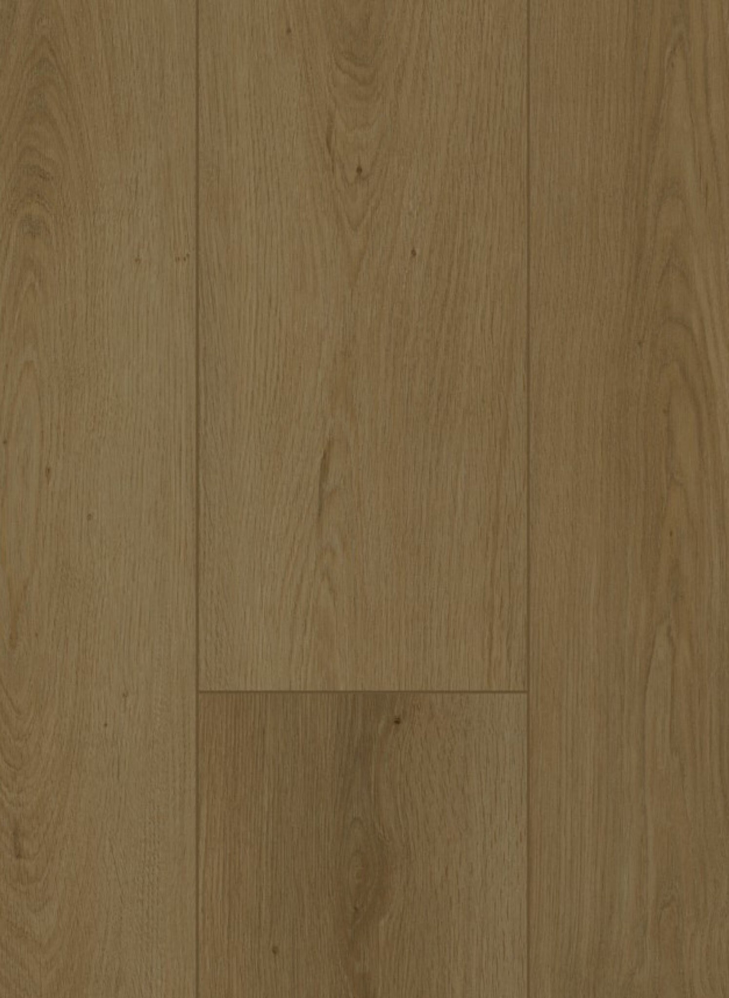 Firmfit Silent 7702 Summerfield Cinnamon