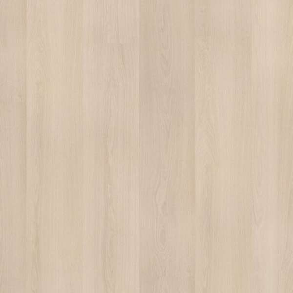 Soleno dryback beige
