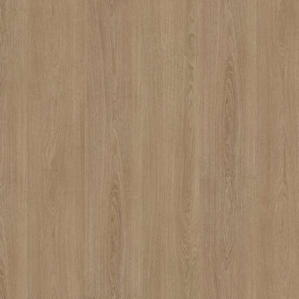 Soleno dryback warm oak