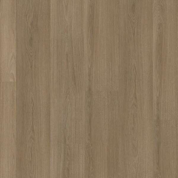 Soleno dryback dark oak