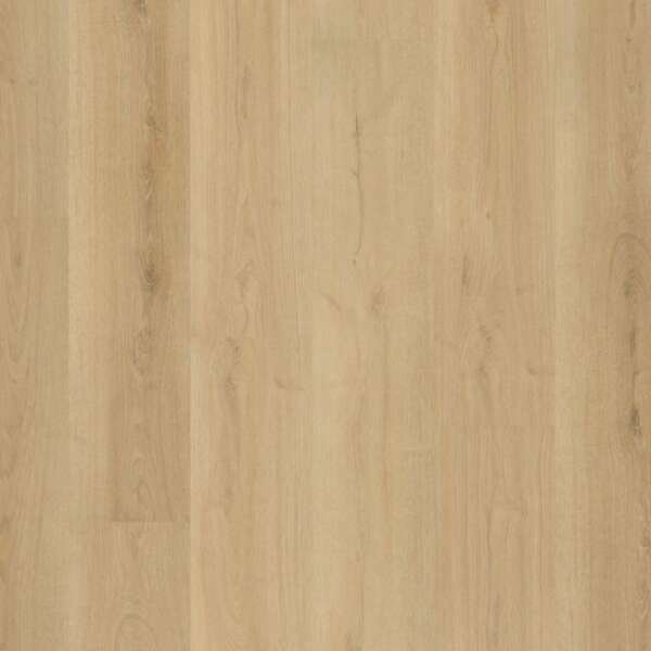 Valento dryback natural