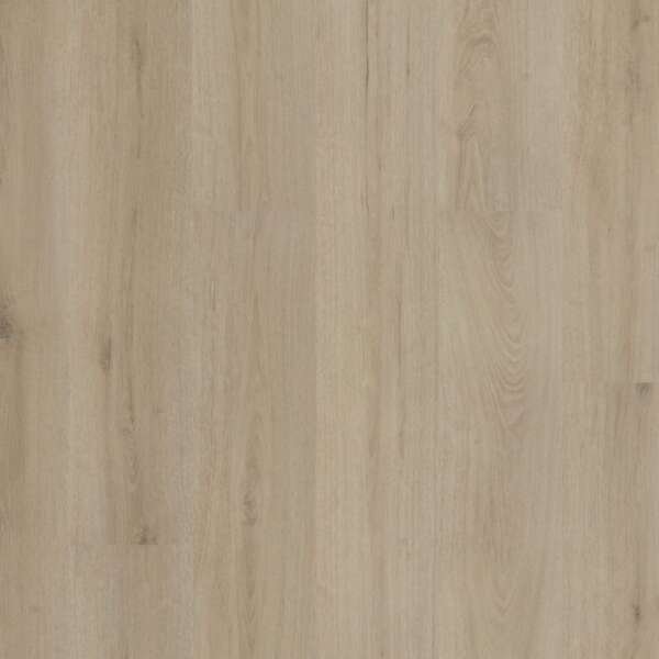 Valento dryback beige