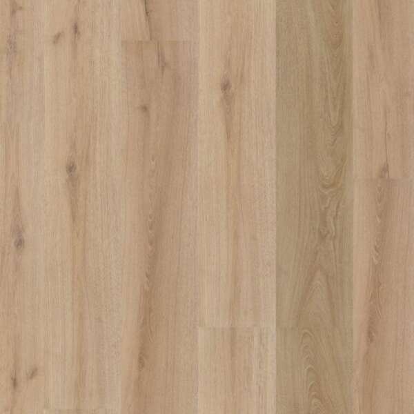 Valento dryback light brown