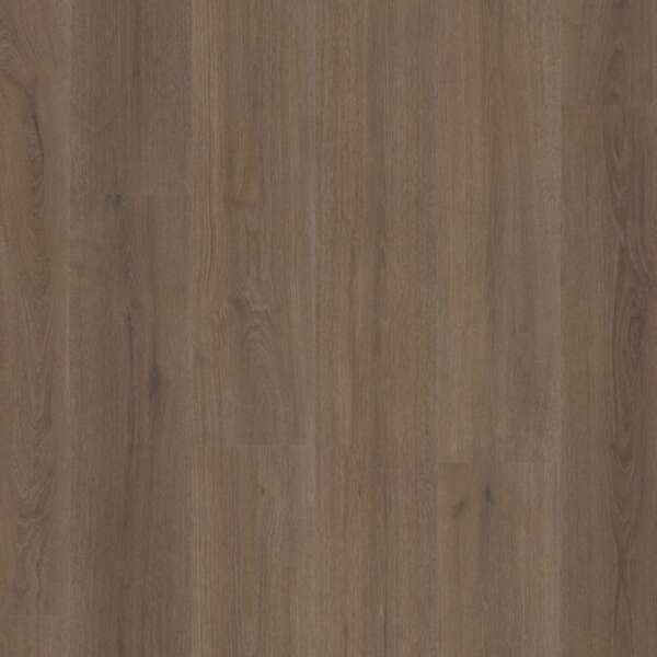 Valento dryback brown