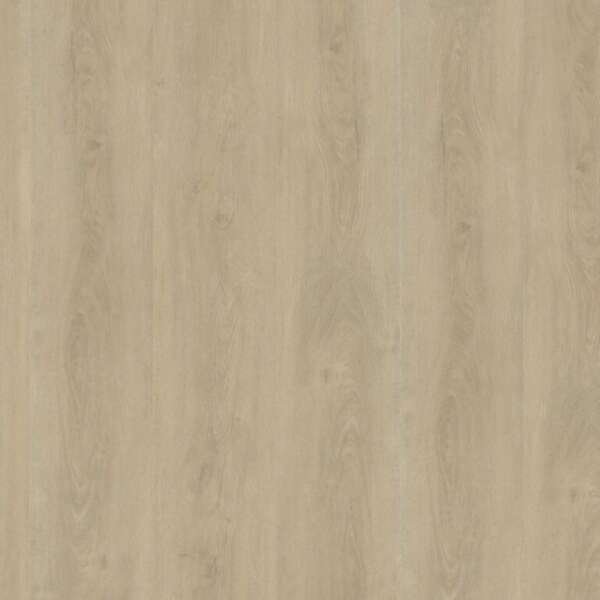 Robusto dryback light natural