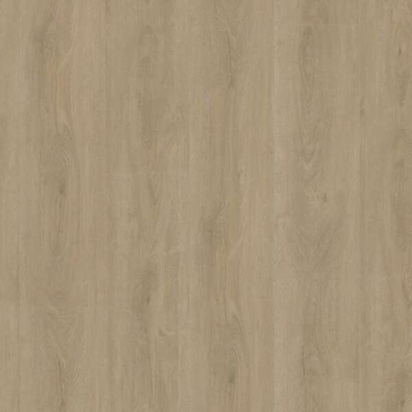 Robusto dryback beige