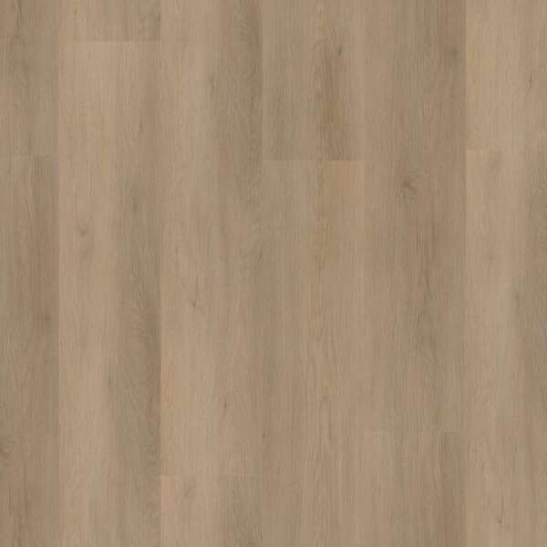 Sentima dryback natural oak