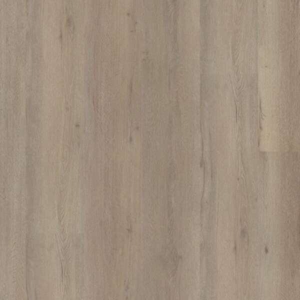 Vivero dryback light oak