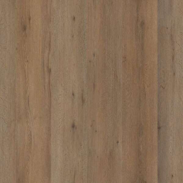 Vivero dryback smoky