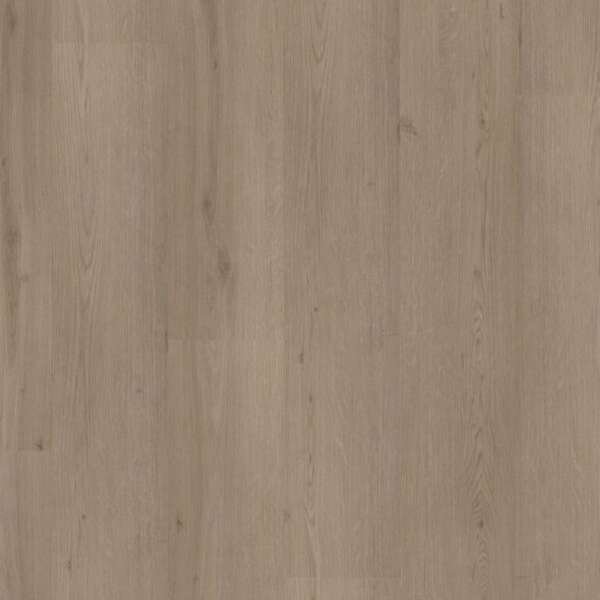 Venera dryback smoky