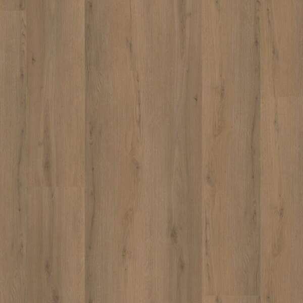 Venera dryback dark oak