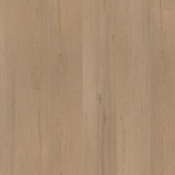 Venera dryback natural oak