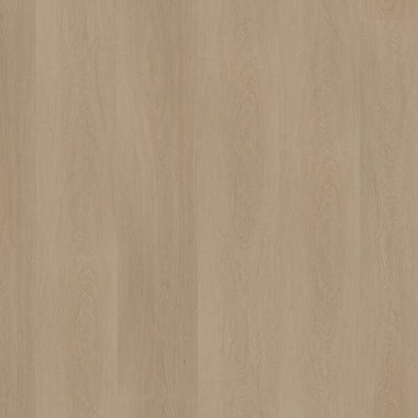 Estino dryback smoky