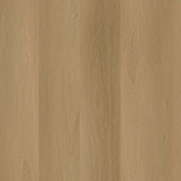Estino dryback warm oak