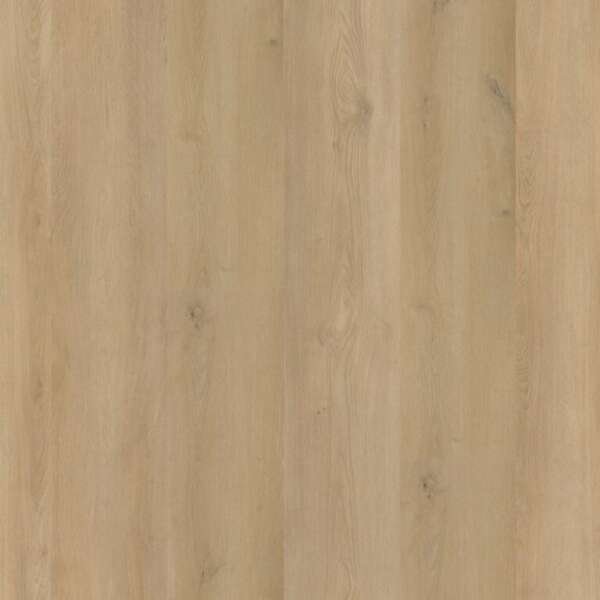 Espero dryback beige