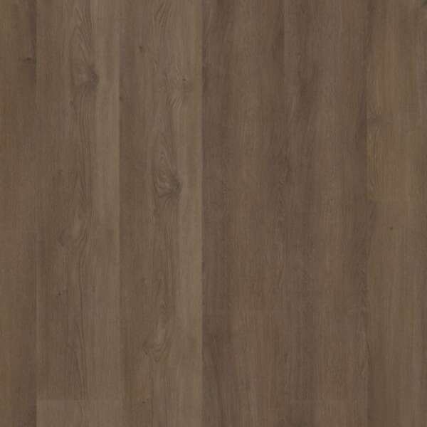 Espero dryback warm brown